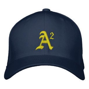 A2 MICHIGAN BESTICKTE KAPPE