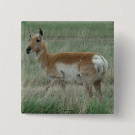 A31 Pronghorn Antelope Doe Button
