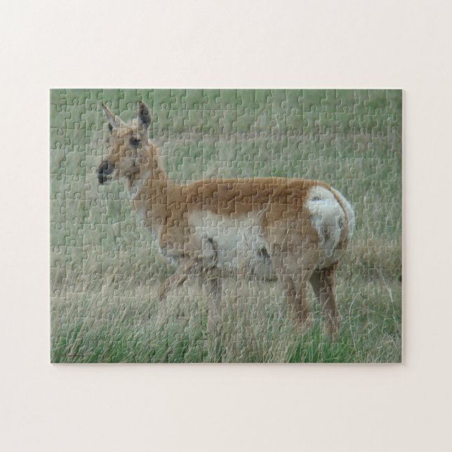A31 Pronghorn Antelope Doe Puzzle (Horizontal)