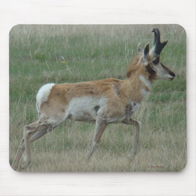 A32 Gabelbockbock Mousepad (Vorne)