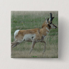 A32 Pronghorn Antelope Buck Button