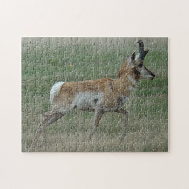 A32 Pronghorn Antelope Puzzle (Horizontal)