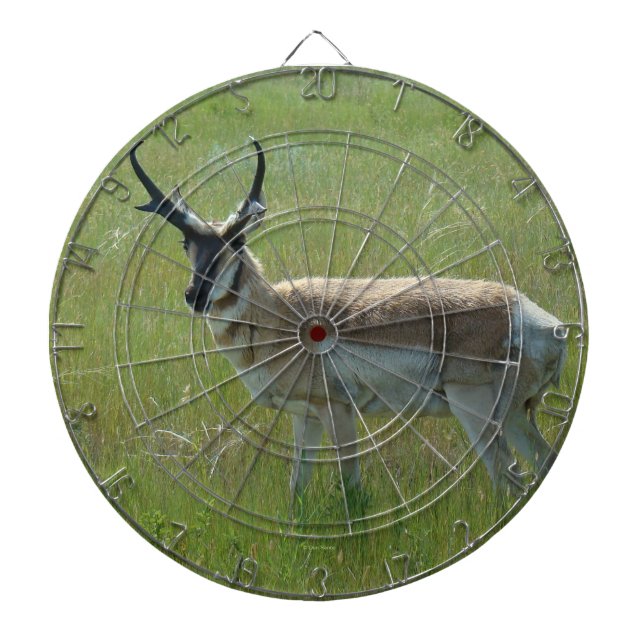 A36 Pronghorn Antelope Buck Dartscheibe (vorne)