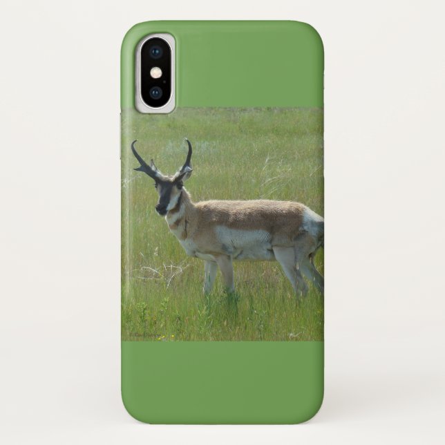 A36 Pronghorn Antelope Case-Mate iPhone Hülle (Rückseite)