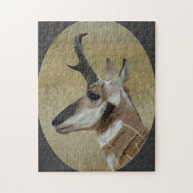 A38 Pronghorn Antelope Buck Profil Puzzle (Vertikal)
