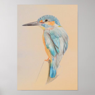 A3 Schöner Kingfisher-Stift, der Print Zeichne Poster