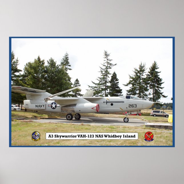 A3 Skywarrior VAH 123 Flugzeugplakat Poster (Vorne)