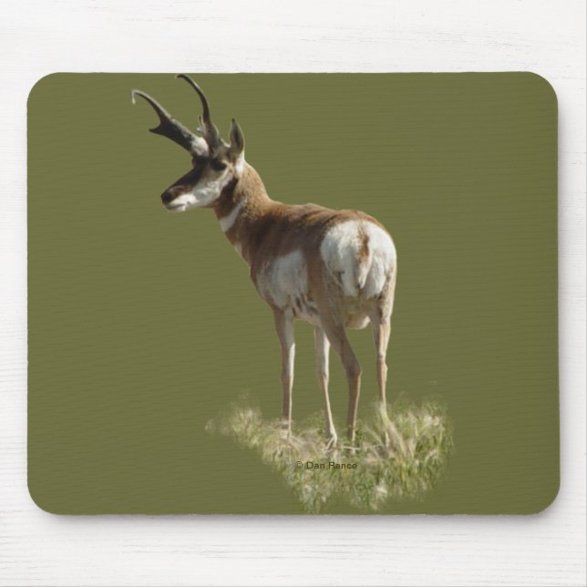 A43 Pronghorn Antelope Buck Mousepad (Vorne)