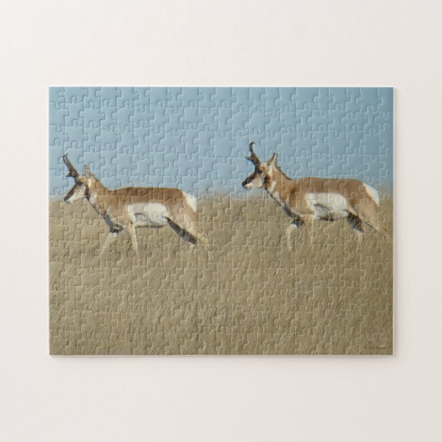 A45 Pronghorn Antelope Bucks Puzzle (Horizontal)