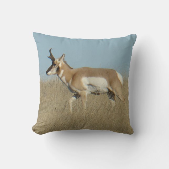 A45b Pronghorn Antelope Buck Kissen (Vorderseite)