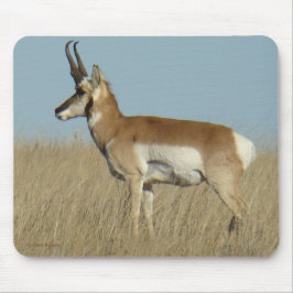 A46 Pronghorn Antilope Mousepad
