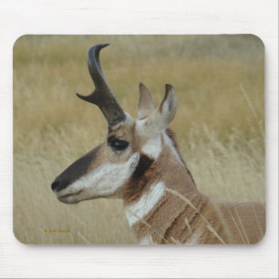 A4 Pronghorn Antilopen-Kopf-Profil Mousepad