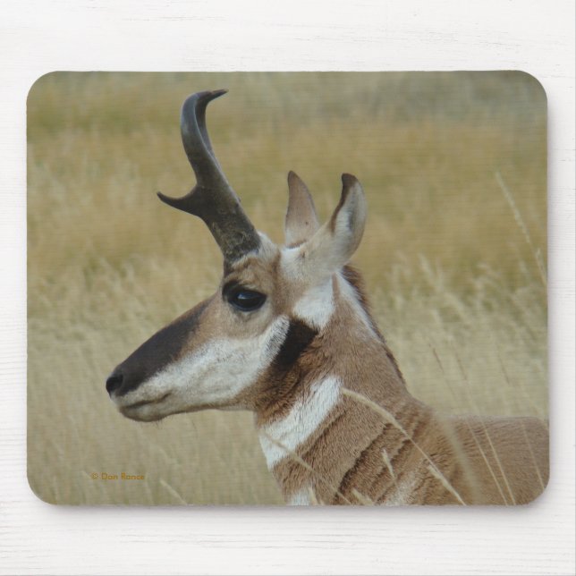 A4 Pronghorn Antilopen-Kopf-Profil Mousepad (Vorne)