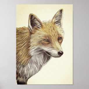 A4 Roter Fox Stift Zeichne Vintag aussehen Poster