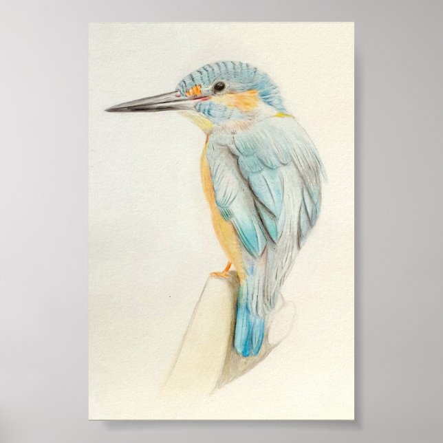 A4 Schöner Kingfisher-Stift, der Print Zeichne Poster (Vorne)