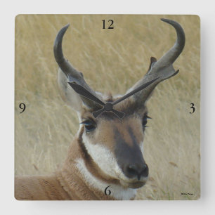 A5 Gabelbock Großer Bock Kopfschuss Quadratische Wanduhr