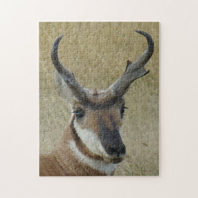 A5 Pronghorn Antelope Head Shoot Puzzle (Vertikal)