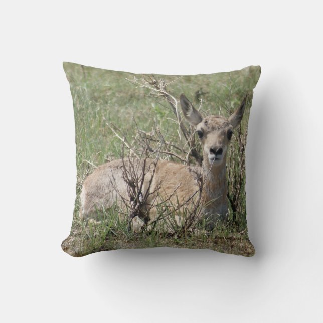 A7 Baby Pronghorn Antelope Kissen (Vorderseite)