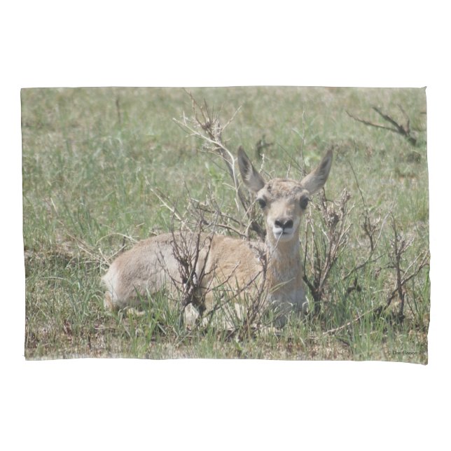 A7 Baby Pronghorn Antelope Kissenbezug (Vorderseite)