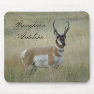 A8 Gabelbock Großer Bock Mousepad