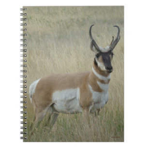A8 Gabelbock Großer Bock Notizblock