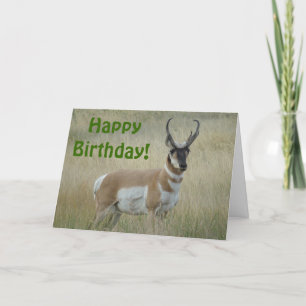 A8 Pronghorn Antelope Big Buck Karte