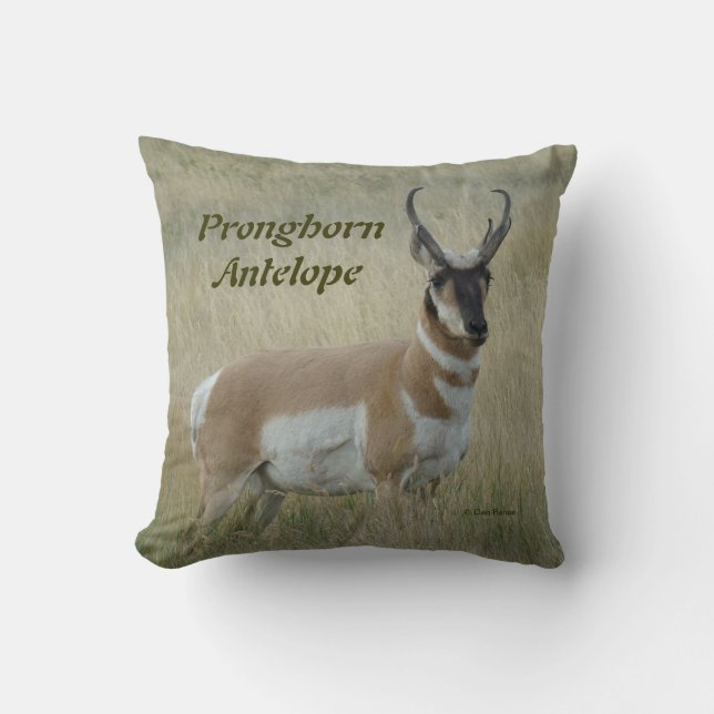 A8 Pronghorn Antelope Big Buck Kissen (Vorderseite)