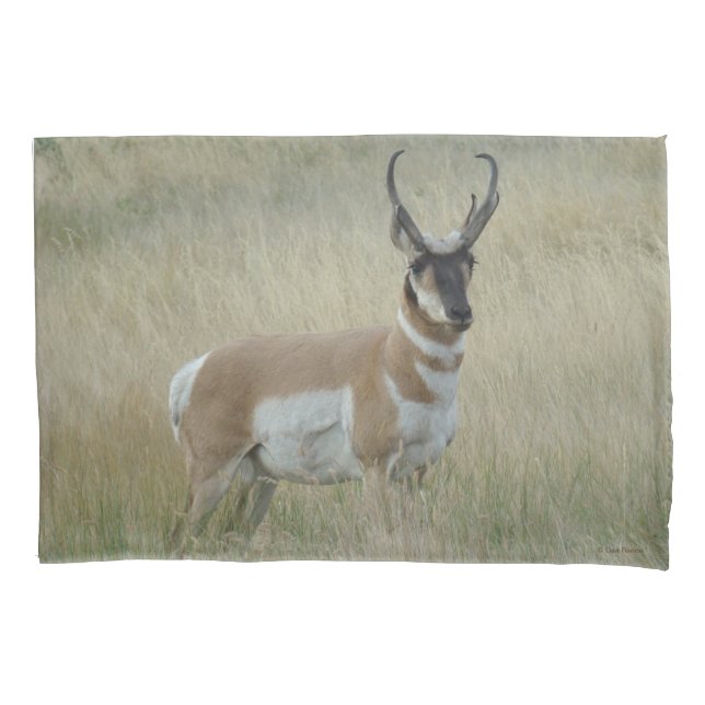 A8 Pronghorn Antelope Big Buck Kissenbezug (Vorderseite)