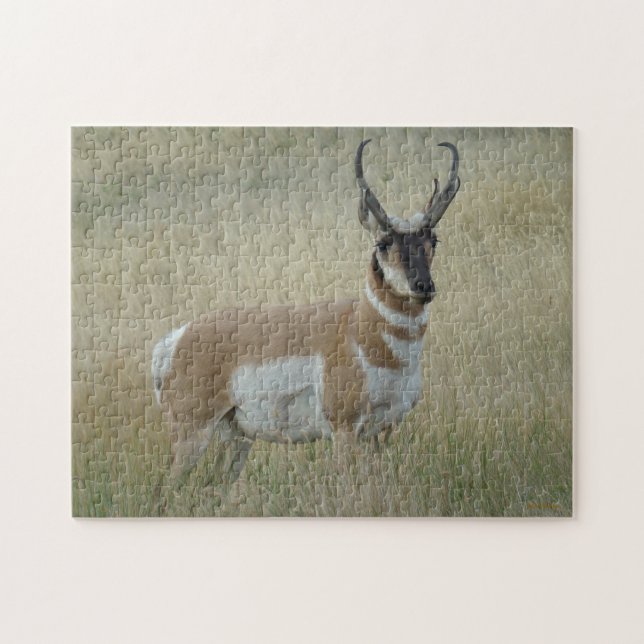 A8 Pronghorn Antelope Big Buck Puzzle (Horizontal)