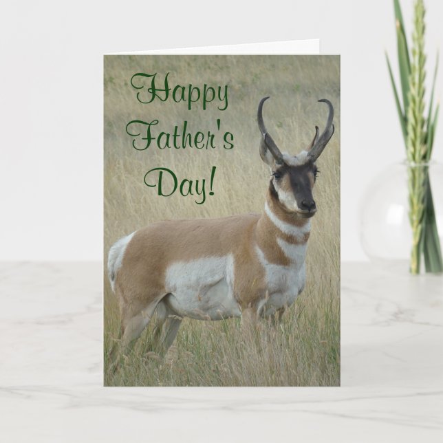 A9 Pronghorn Antelope Big Buck Karte (Vorderseite)