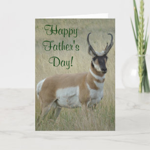 A9 Pronghorn Antelope Big Buck Karte