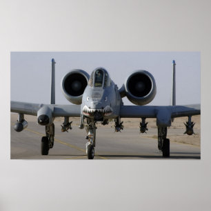 A-10-Donnerbolzen II Poster
