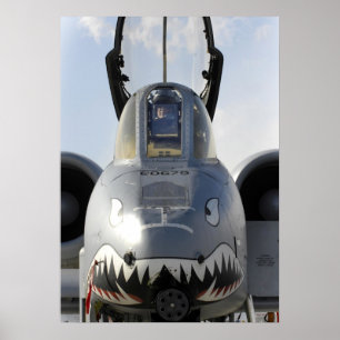 A-10-Donnerbolzen II Poster
