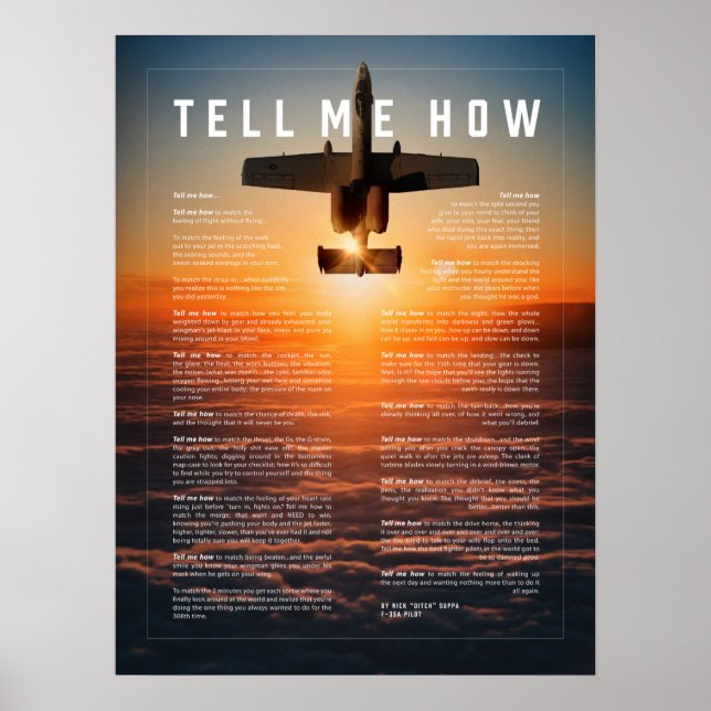 A-10 mit Tell Me How ode to militärpiloten Poster (Vorne)