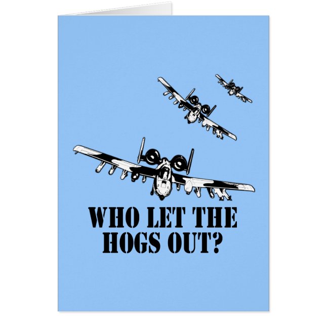 A-10 Warthog (Vorne)