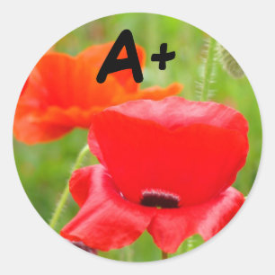 A+ Aufkleber Rote Mohnblumen Aufkleber Schulkinder
