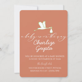 A Baby Is on the Way Baby Shower  Einladung