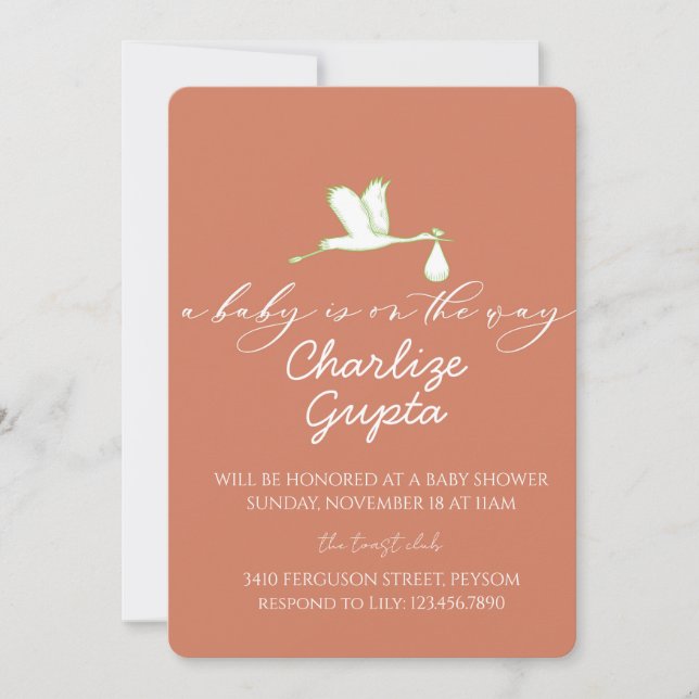 A Baby Is on the Way Baby Shower  Einladung (Vorderseite)