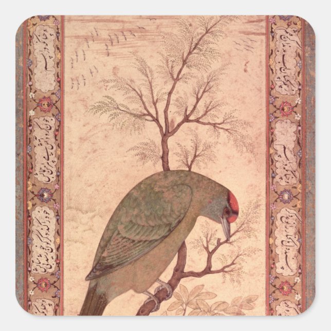 A Barbet Jahangir Period, Mughal, 1615 Quadratischer Aufkleber (Vorderseite)