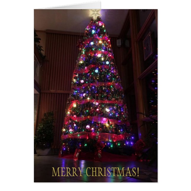 A Beautiful Christmas Tree with Reflektionen (Vorne)