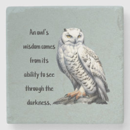 A beautiful white wise Owl Steinuntersetzer