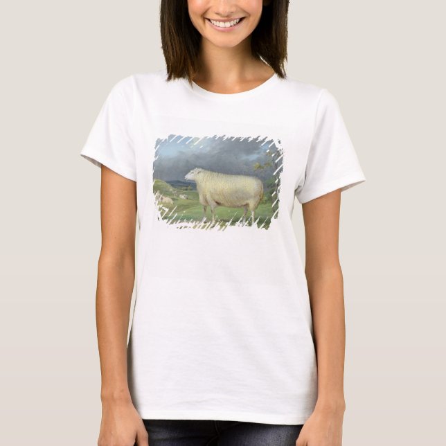 A Border Leicester Ewe (Öl auf Leinwand) T-Shirt (Vorderseite)