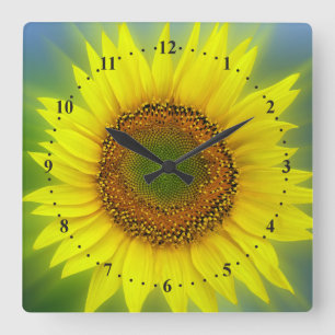 a bright sunflower quadratische wanduhr