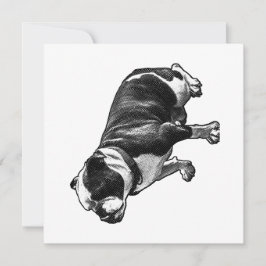 A Calm Welcome Einladung