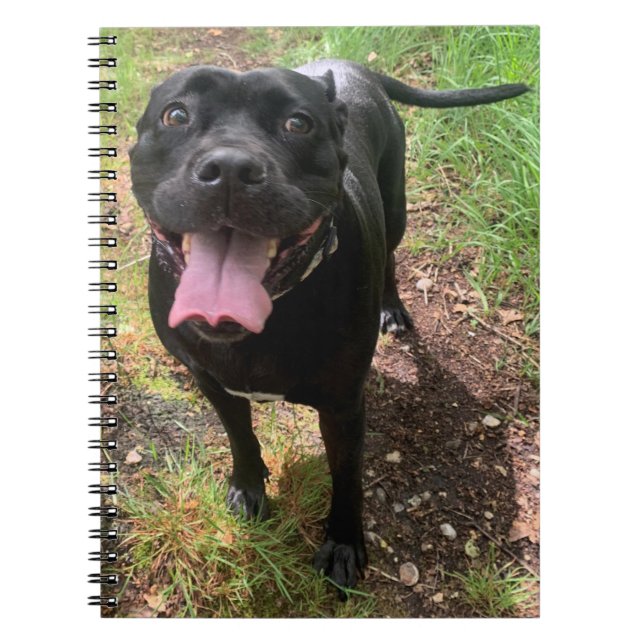 A Cane Corso X Notebook Notizblock (Vorderseite)