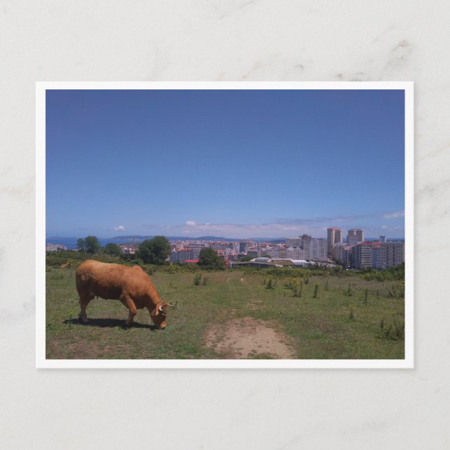 A Coruna, Galicien (Spanien) Postkarte (Vorderseite)