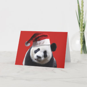 A Cute Panda Bear Wearing a Santa Claus Hat Feiertagskarte