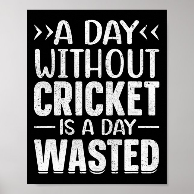 A Day Without Cricket Funny Cricket Player Cricket Poster (Vorne)