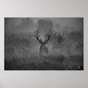 A Deer In The Mist Poster