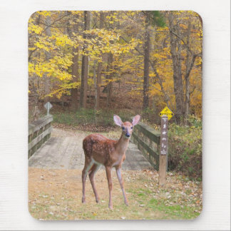 A deer in the park mousepad